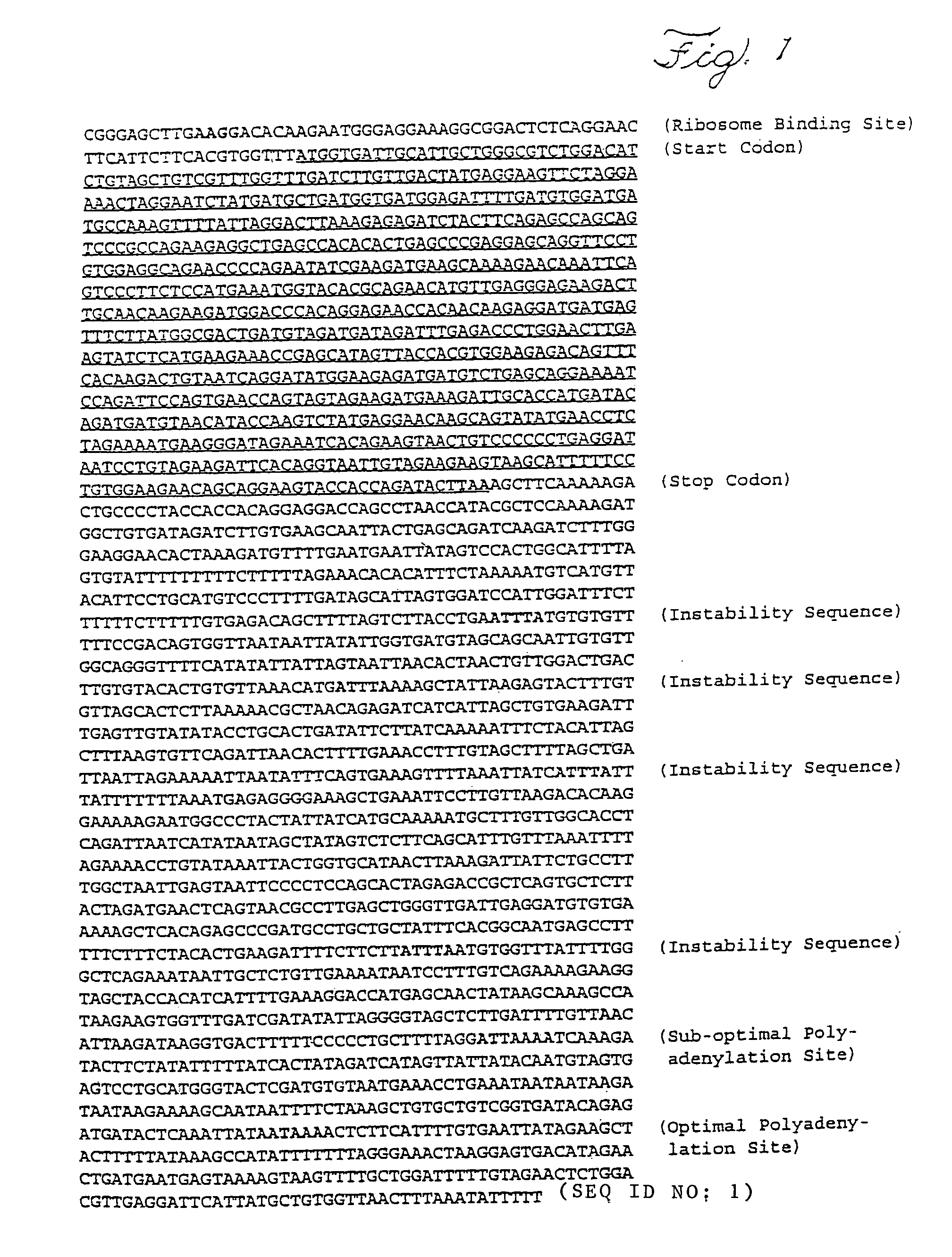 Gene encoding labyrinthin, a marker for cancer