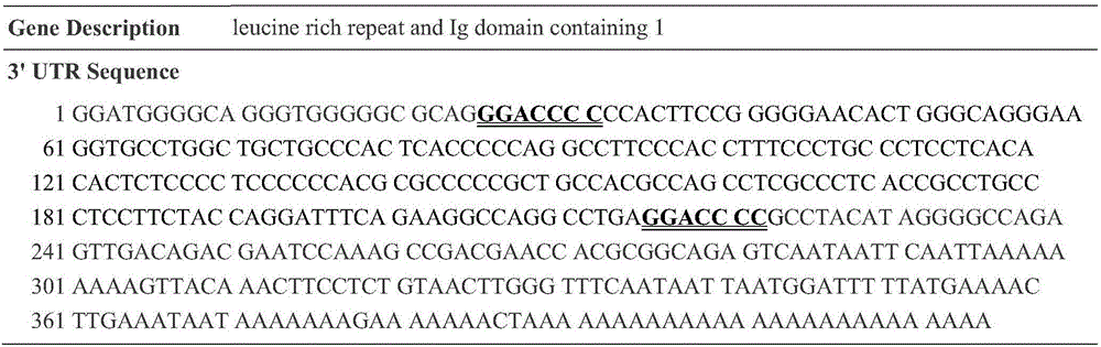 PF-127-miRNA-615 agomir complex and preparation method and application thereof