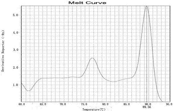 Kit for detecting HLA genotypes through fluorescent PCR melting curve assay