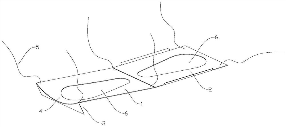 Auxiliary fixing plate, combined device for indwelling needle infusion and use method