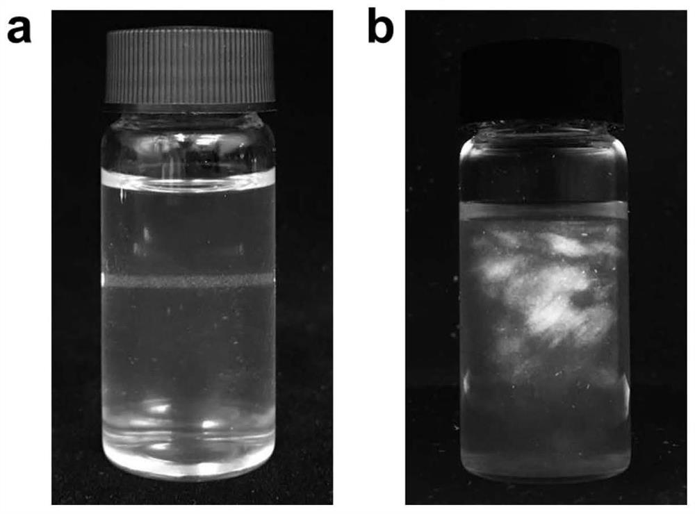Cellulose nanofiber and preparation method thereof