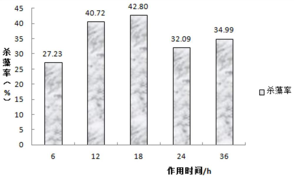 A kind of Bacillus subtilis and its application in aquaculture