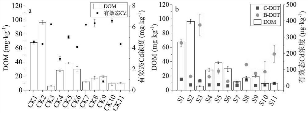 Biochar modified film for dgt device, dgt device and manufacturing method thereof