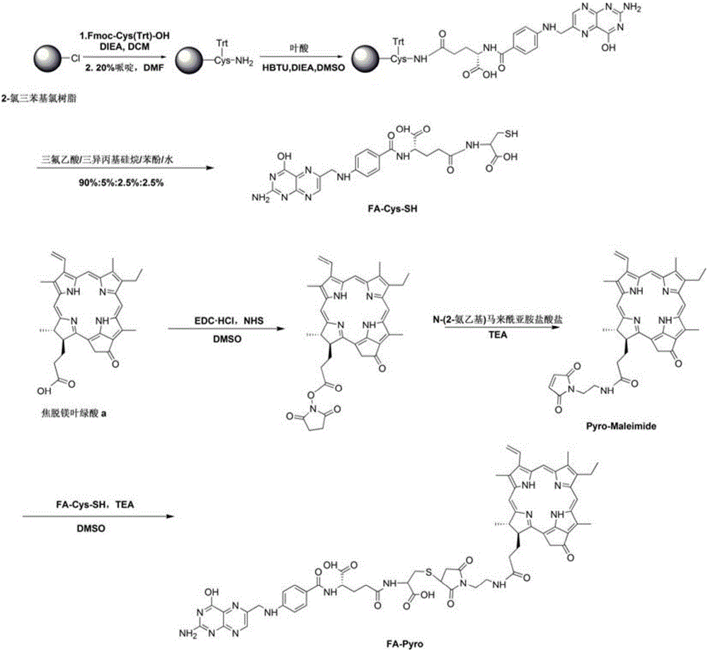 Synthesis and application of photosensitive medicament taking folic acid as targeted group