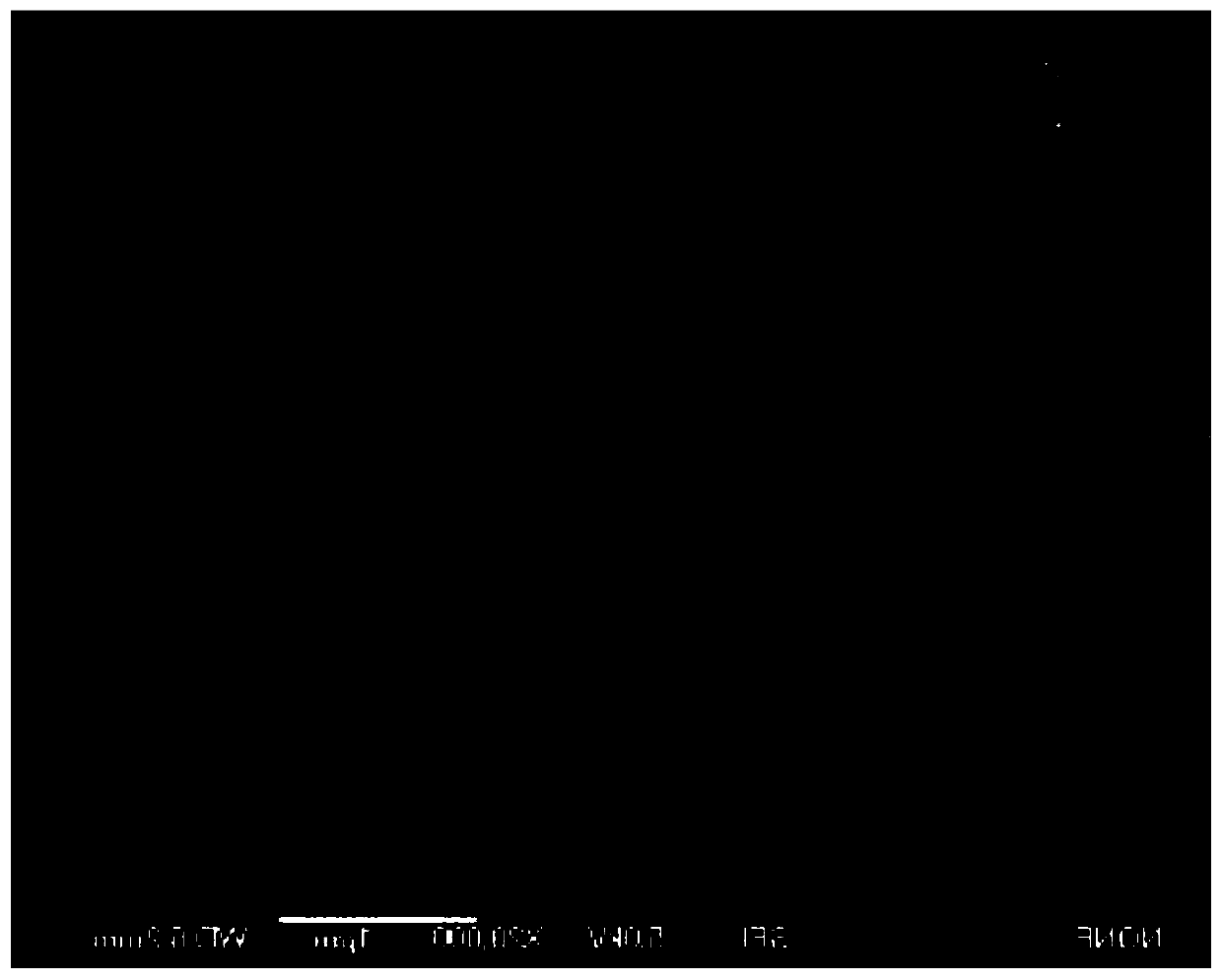 Curly carbon nitride sheet and preparation method thereof, and application of curly carbon nitride sheet in photocatalytic decomposition of water into hydrogen