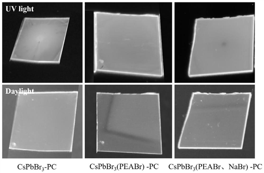 Metal halide perovskite-polycarbonate composite fluorescent film as well as preparation method and application thereof