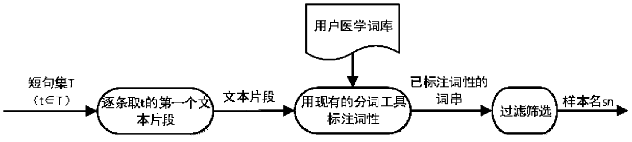 A Method for Structural Processing of Chinese Pathological Texts
