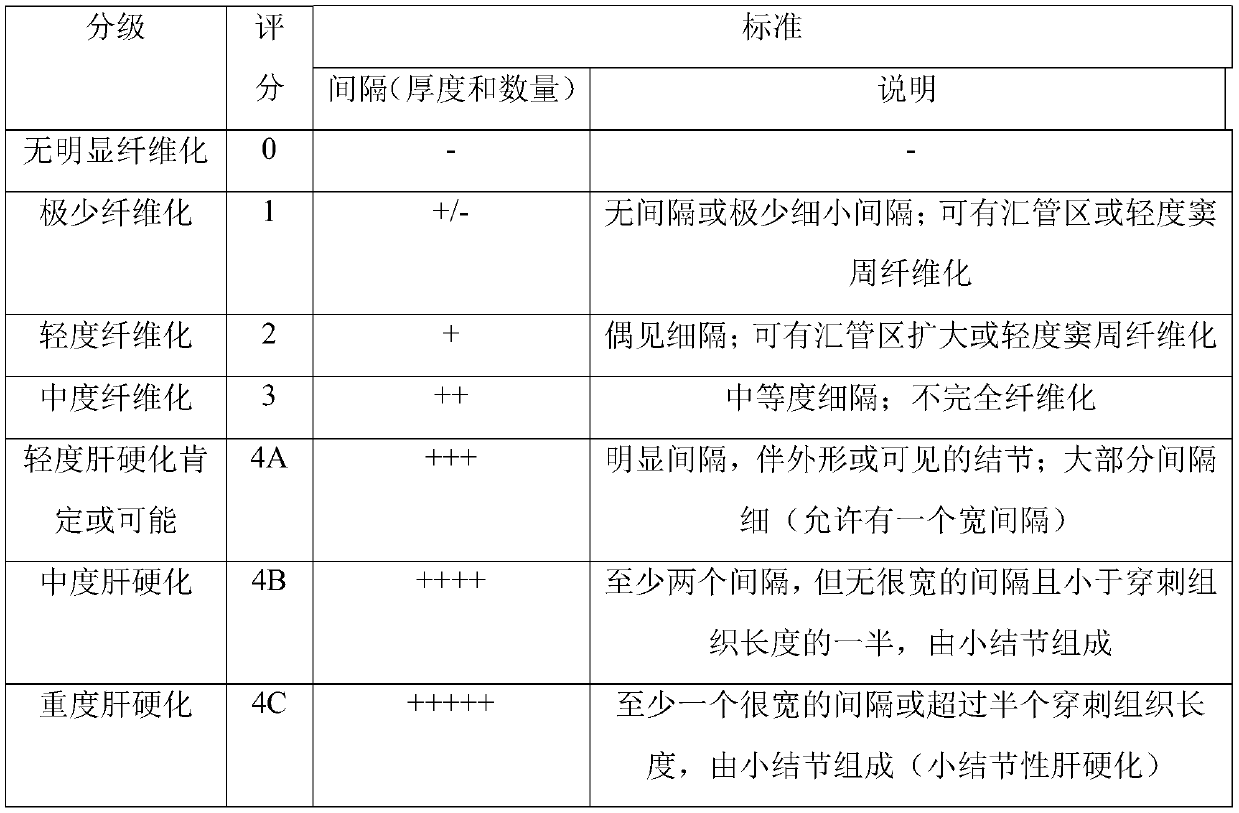 A method for establishing a rhesus monkey liver fibrosis model by intragastric administration