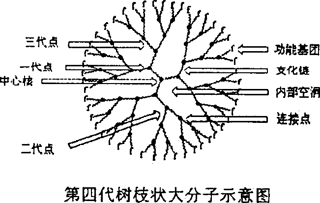 Method for preparing cross-linked polymer film by branching molecule