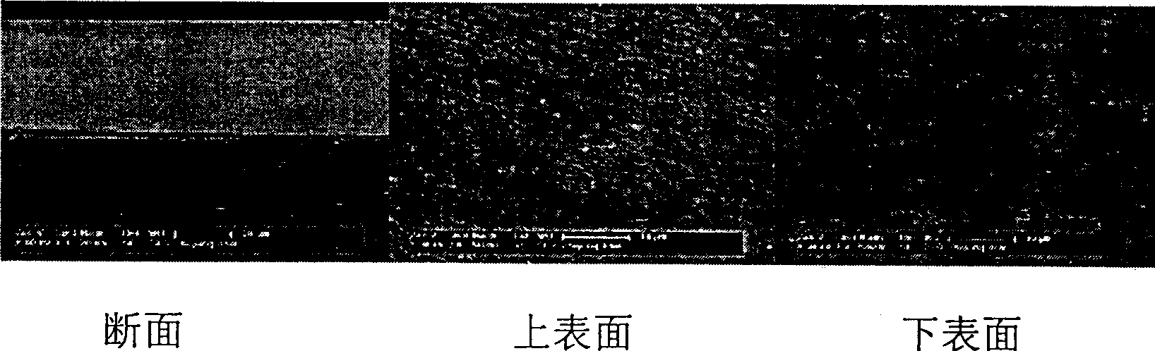 Method for preparing cross-linked polymer film by branching molecule