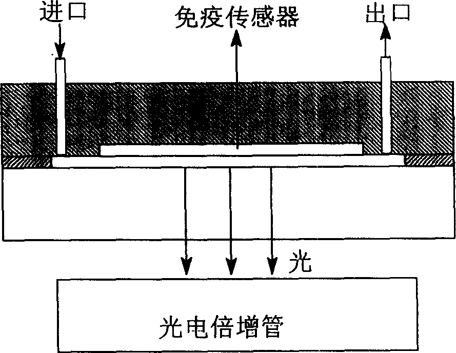 Flow injection chemiluminescent immunity detecting pool for silicane cross-linked chitosan film base and process for preparing same