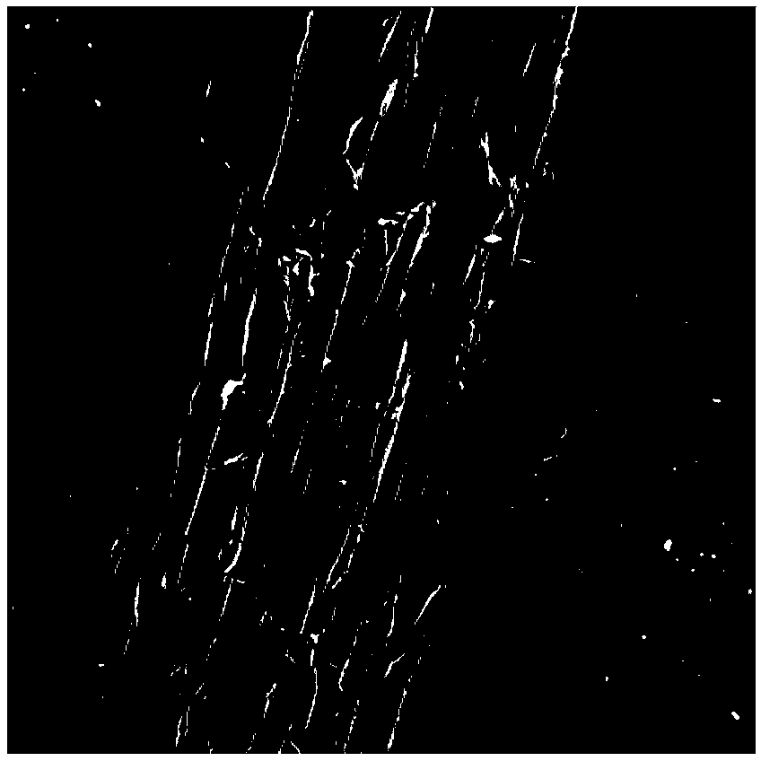 Bagasse based adsorbent with high grafting rate, and preparation method and application thereof