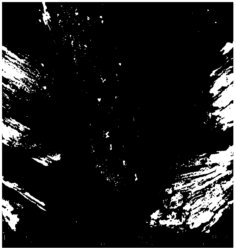 Bagasse based adsorbent with high grafting rate, and preparation method and application thereof