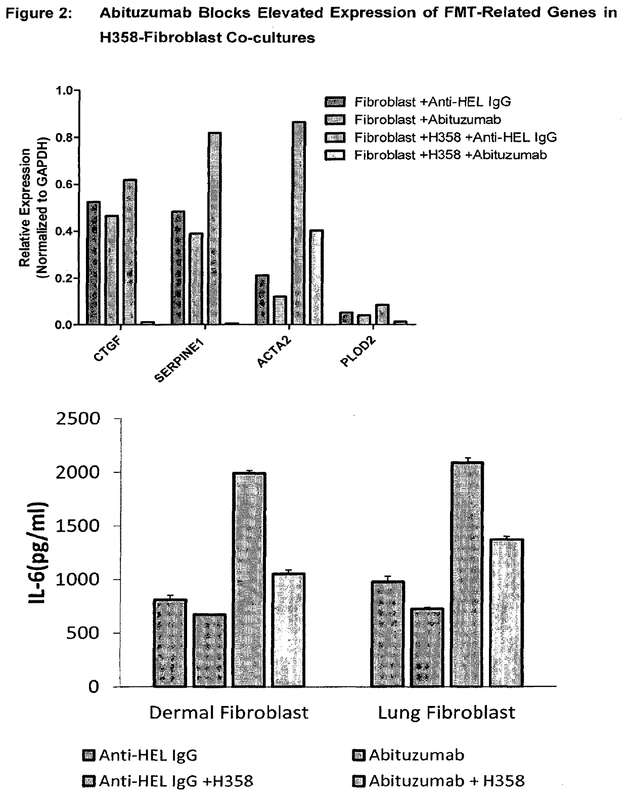 Anti-alpha-v integrin antibody for the treatment of fibrosis and/or fibrotic disorders