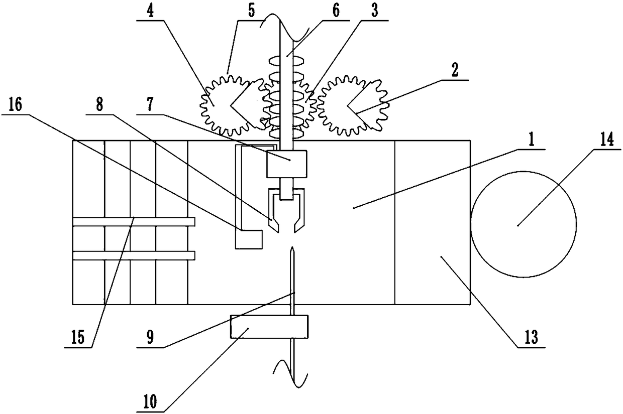 Kiwi fruit cleaning and peeling machine