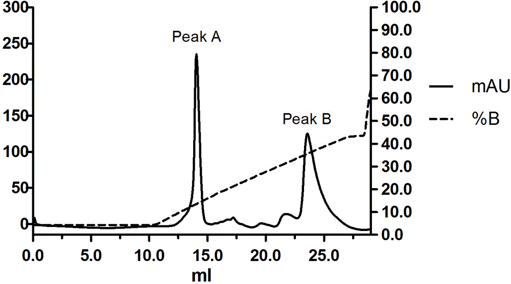 Method for expressing and purifying soluble dermatophagoides pteronyssinus major allergen Der p 2 protein