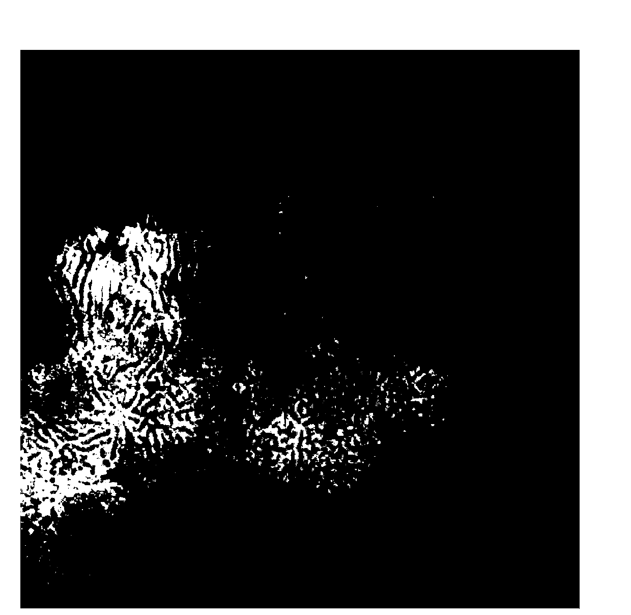 Multi-block copolymer