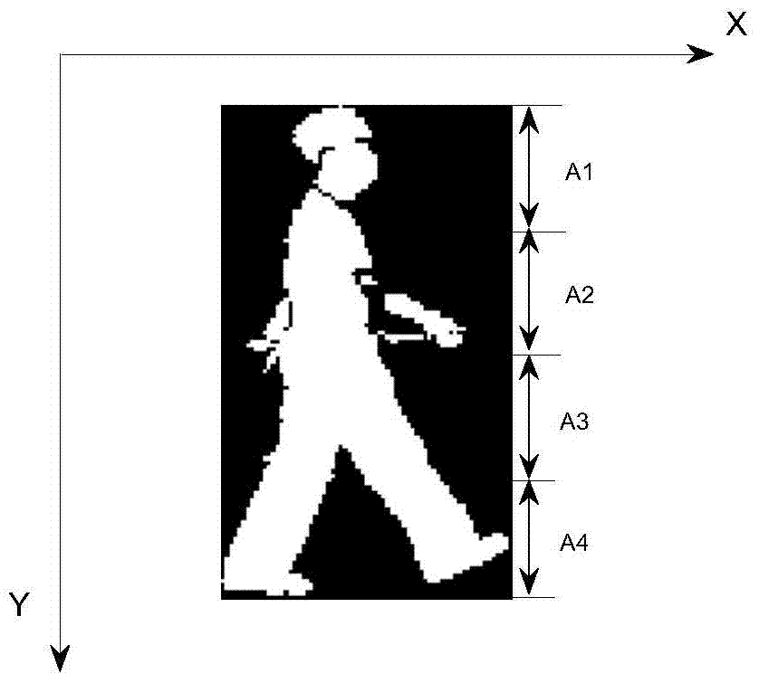 A View-Independent Gait Recognition Method Based on Deterministic Learning Theory