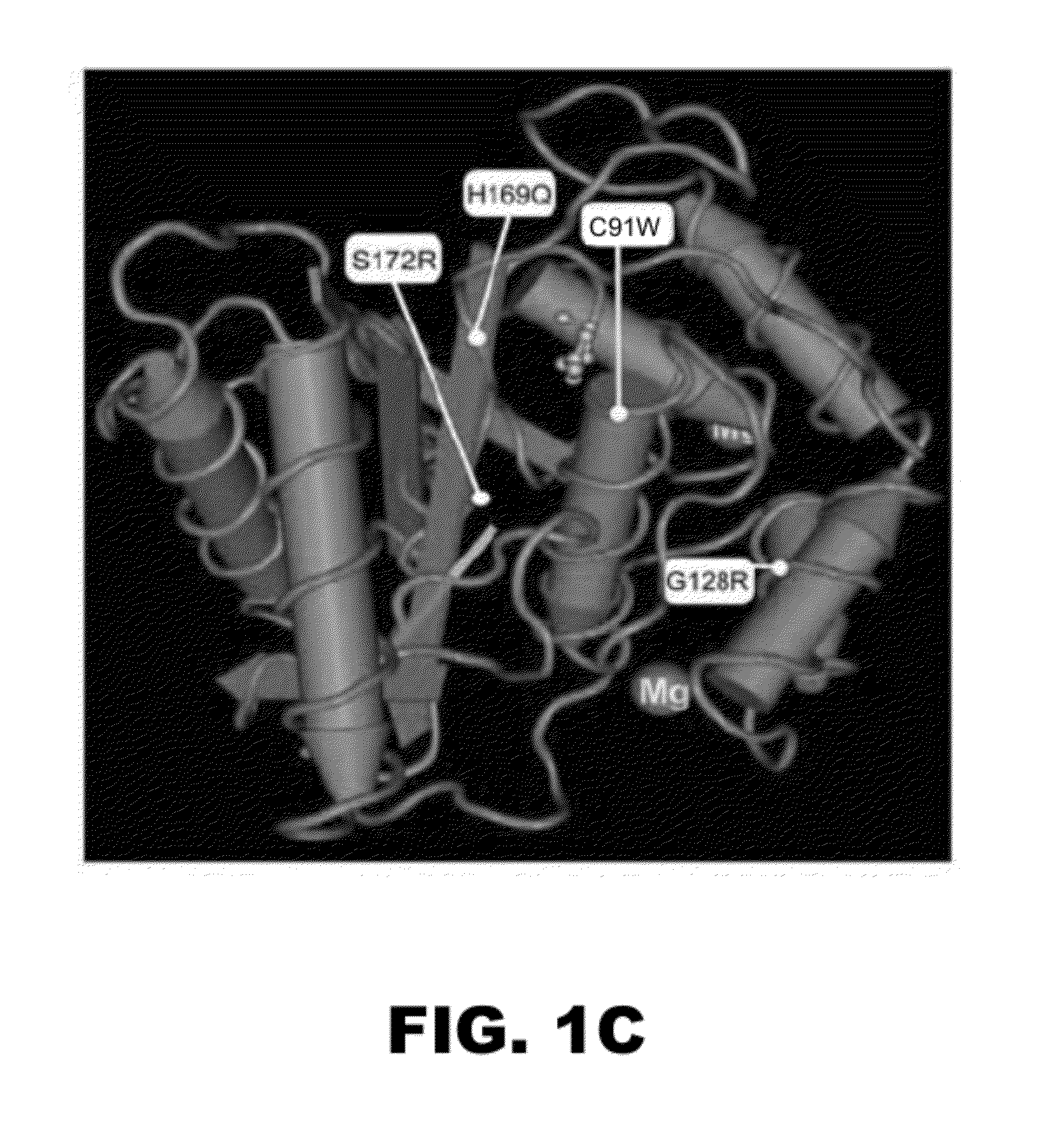 Compositions and methods for detecting cancer metastasis