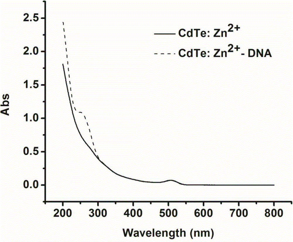 One-step method for synthesizing DNA functionalized Zn doped CdTe quantum dot