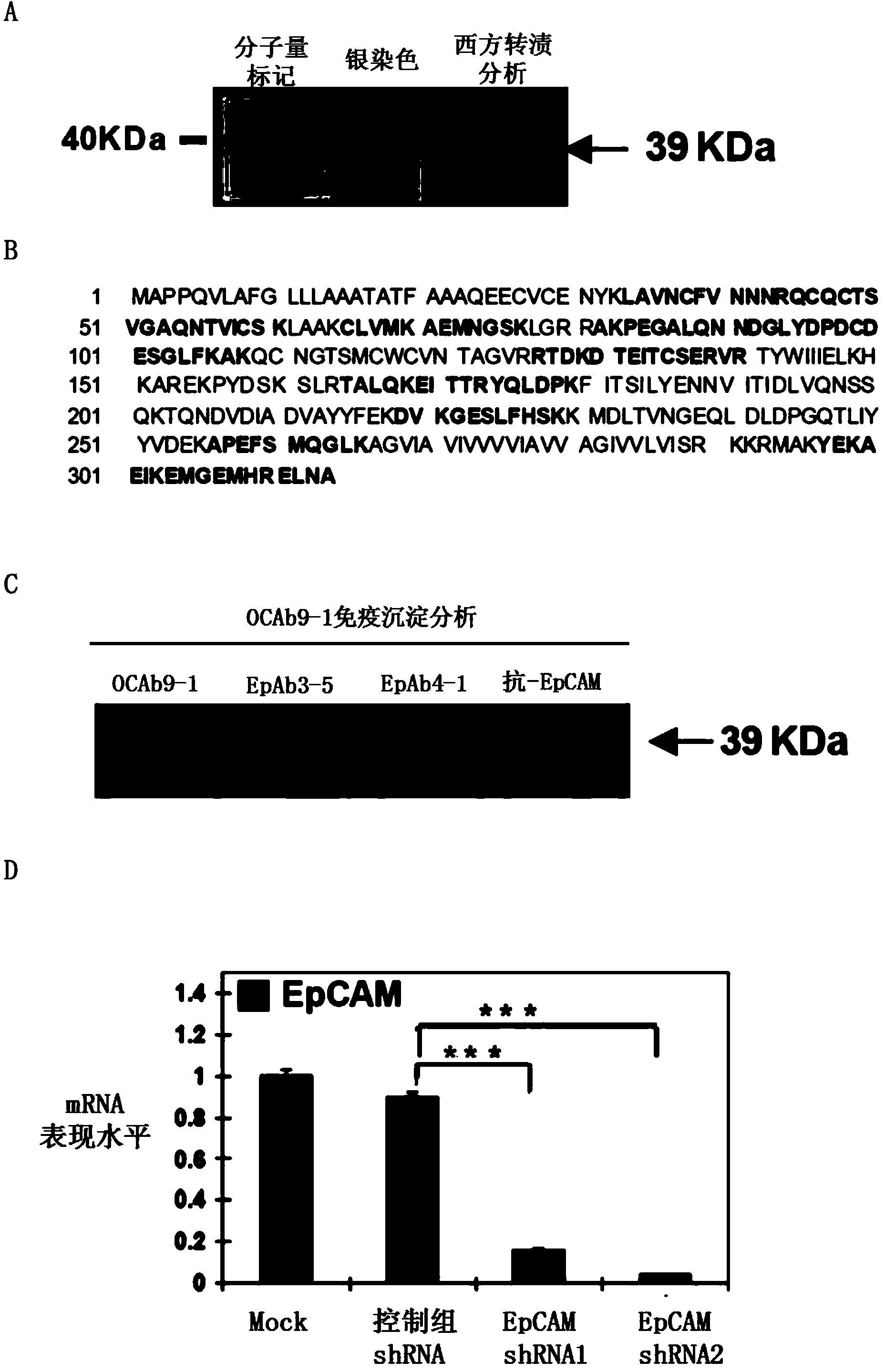 Anti-epithelial cell adhesion molecule (EpCAM) antibodies and methods of use thereof