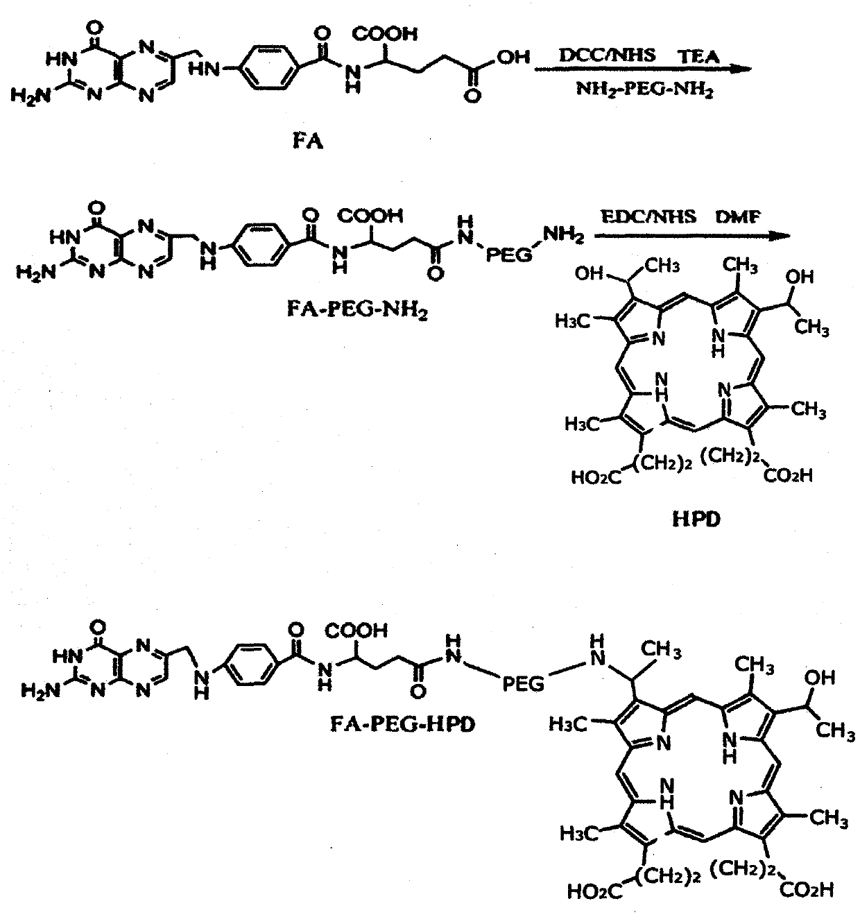 Folate receptor medium, optical excitation photosensitive drug conjugate and preparation method of optical excitation photosensitive drug conjugate