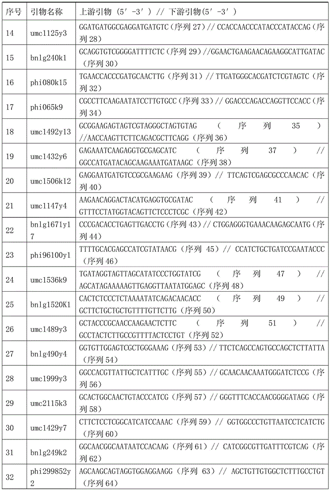 Jingke 528 three-line mating hybrid seed production method