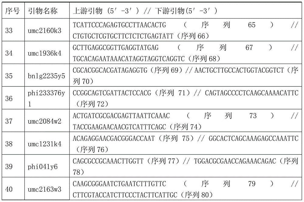 Jingke 528 three-line mating hybrid seed production method