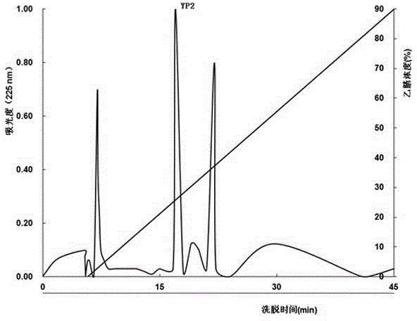 Antifreeze polypeptide prepared from fish-derived collagens and preparation method thereof