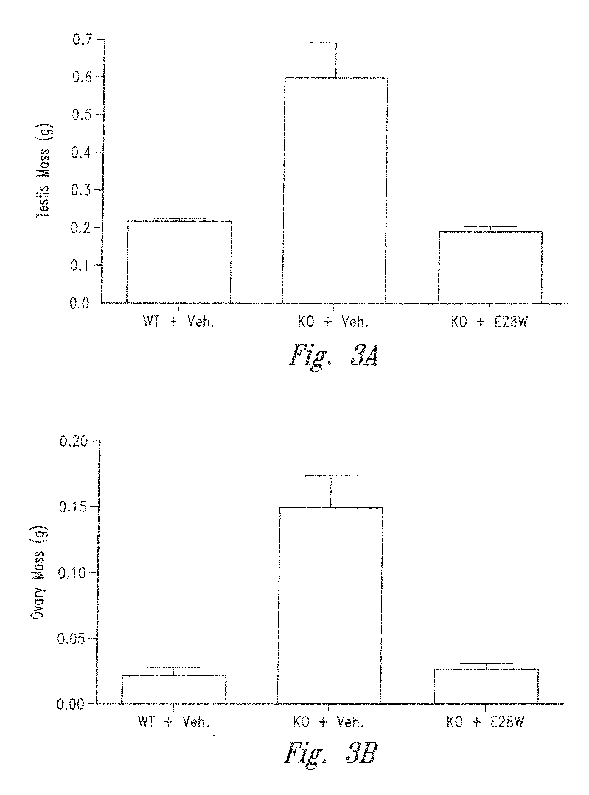 Variant activin receptor polypeptides and uses thereof