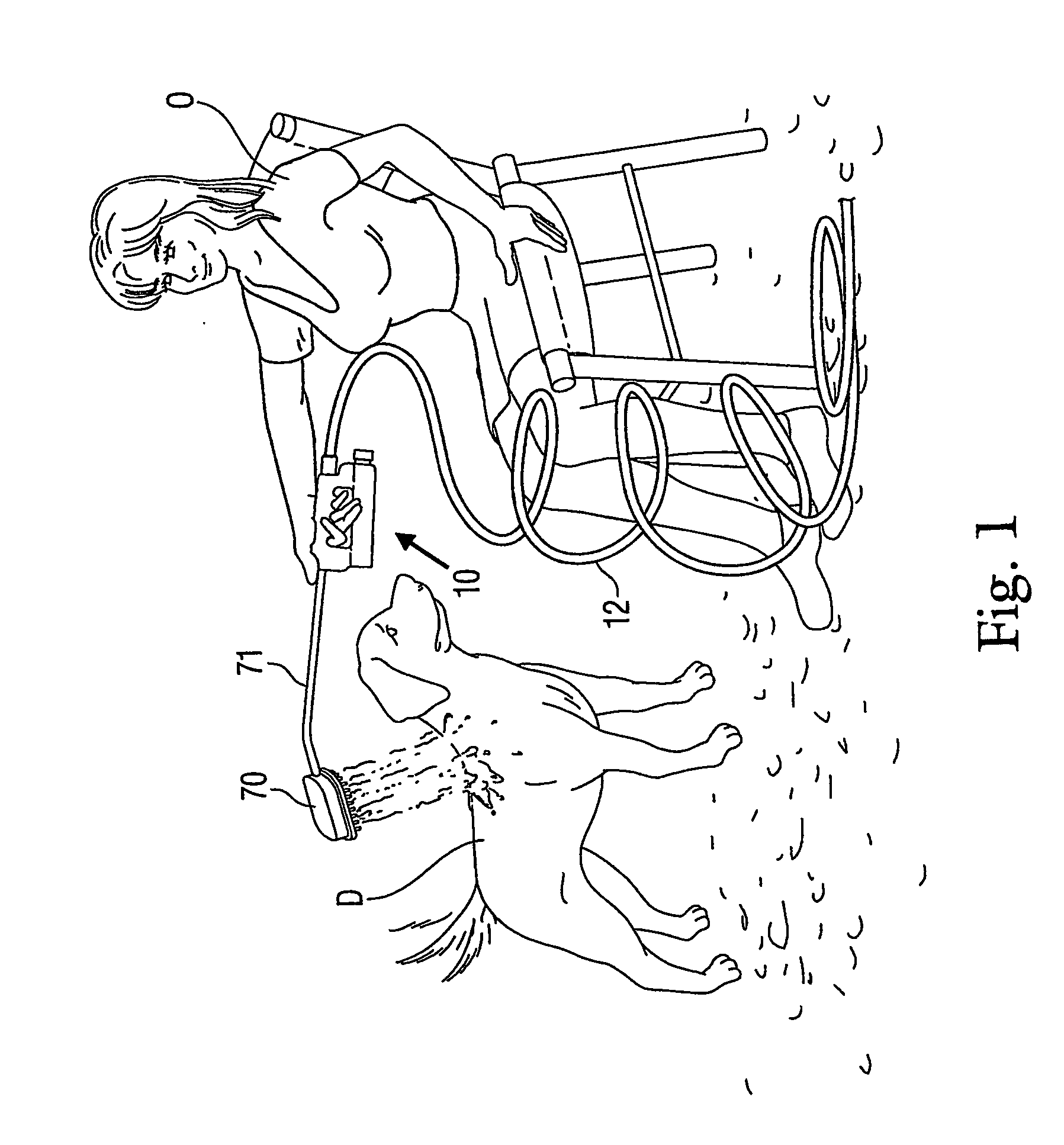 Shampooing device