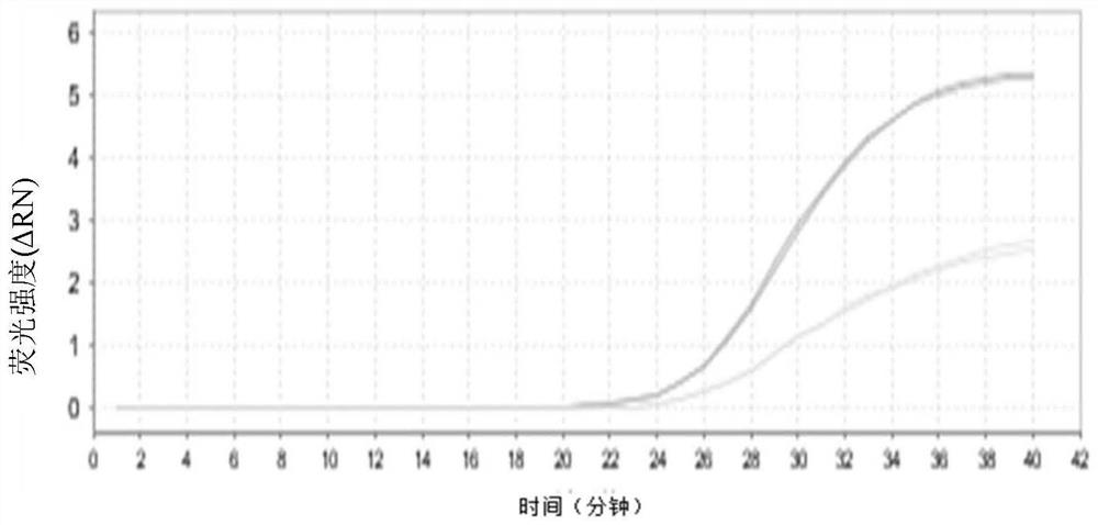 A virus inactivation, capture and real-time fluorescent constant temperature amplification detection kit and its application