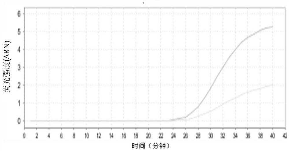 A virus inactivation, capture and real-time fluorescent constant temperature amplification detection kit and its application