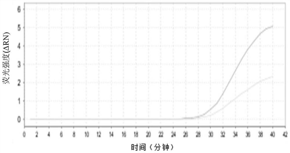 A virus inactivation, capture and real-time fluorescent constant temperature amplification detection kit and its application