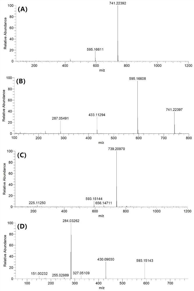 Method for evaluating authenticity of robinia pseudoacacia honey and application of method in adulteration identification
