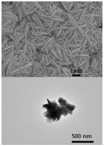 Preparation method and application of Ag nanosheet SERS substrate packed on aluminum foil