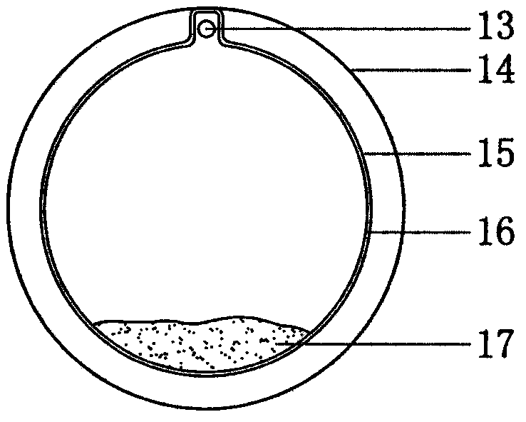 A kind of embankment loophole sealing device