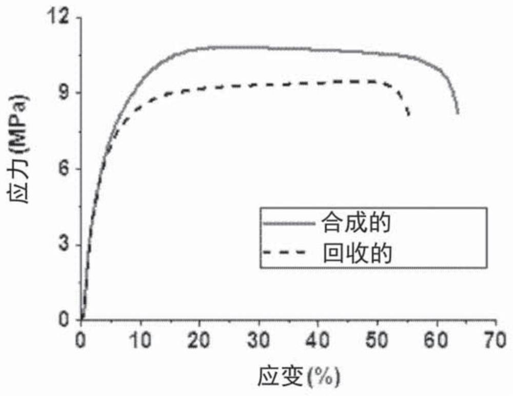 Application of salen manganese complexes in tandem catalytic reactions involving unsaturated anhydride-epoxy copolymers