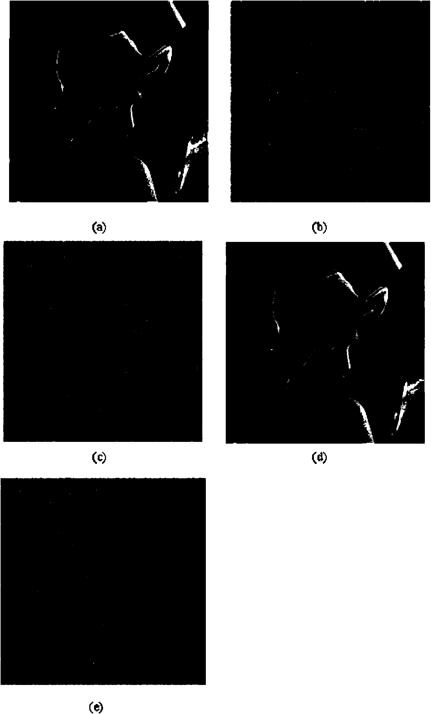 Color image encryption method based on chaos sequence and hyper-chaos system