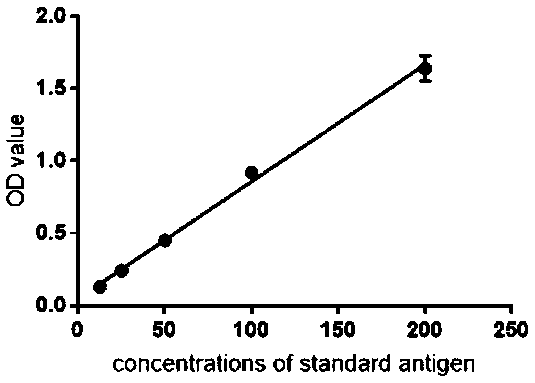 Coxsackie virus group A 16-type monoclonal antibody 16E1 and preparation method thereof