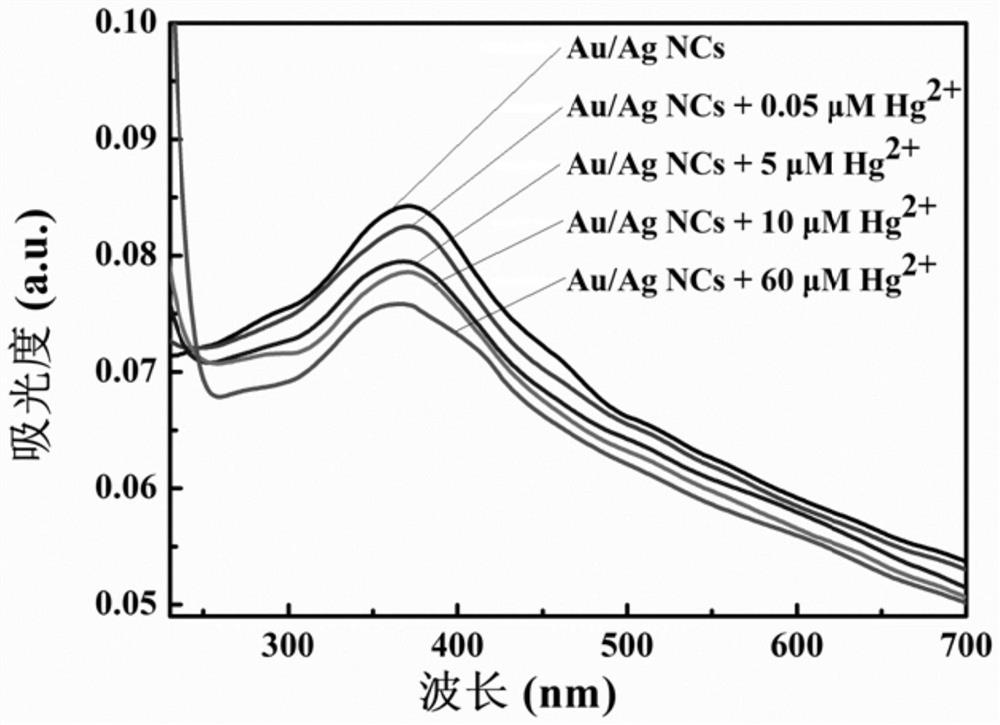 Mercaptotriazole@gold-silver bimetallic nanocluster for mercury ion detection and preparation method and application thereof