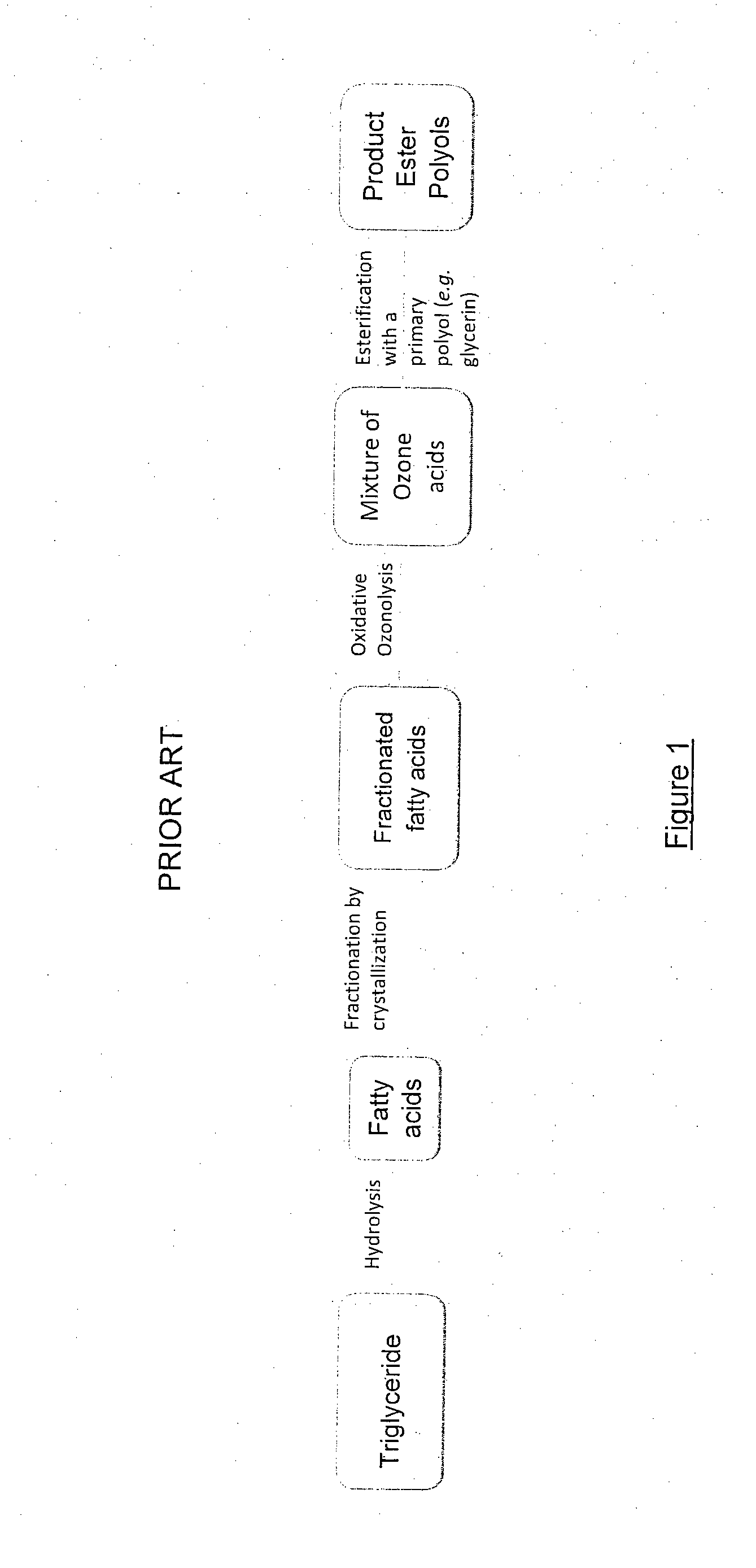 Method for the production of polyols and uses thereof