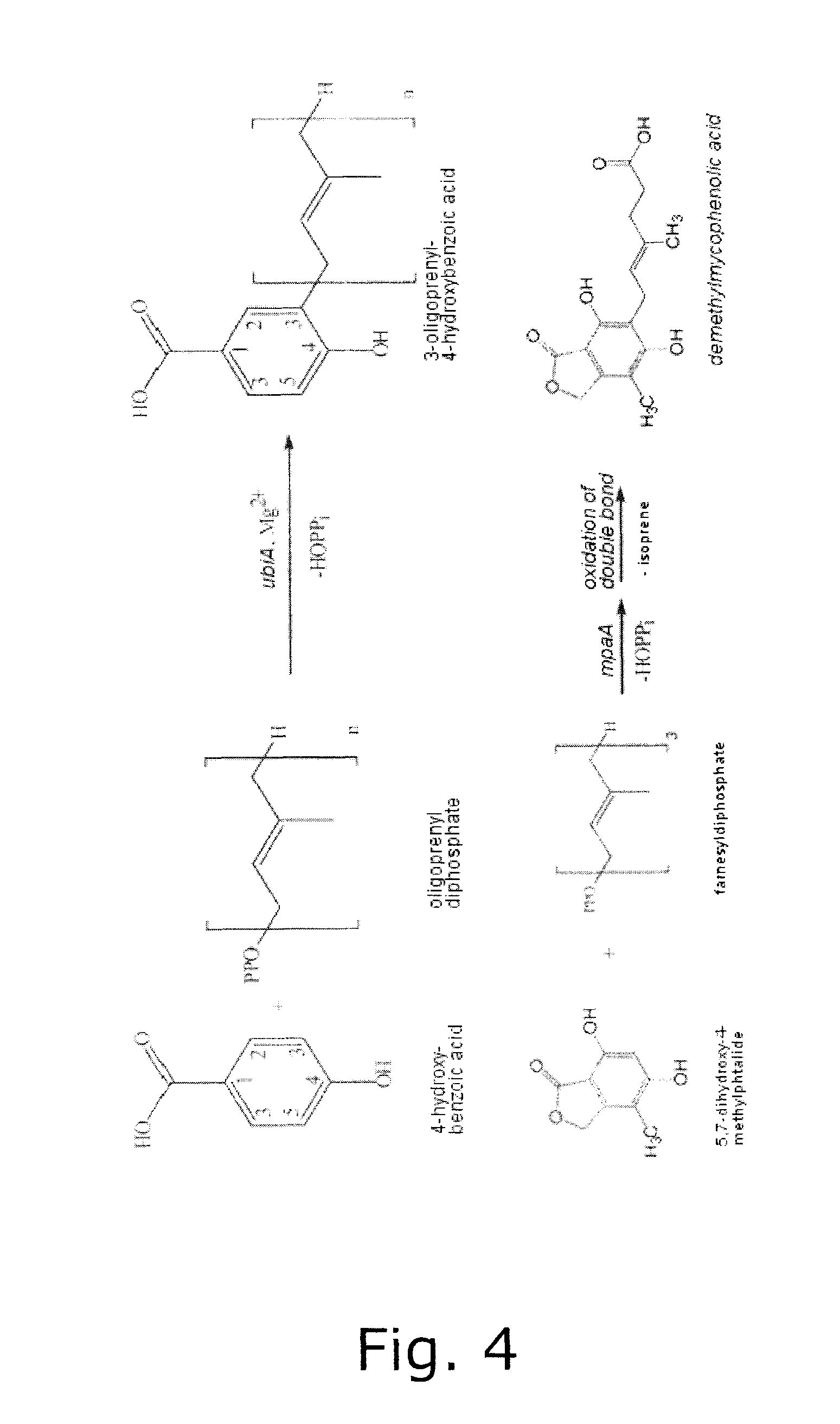 DNA encoding protein and methods of using same
