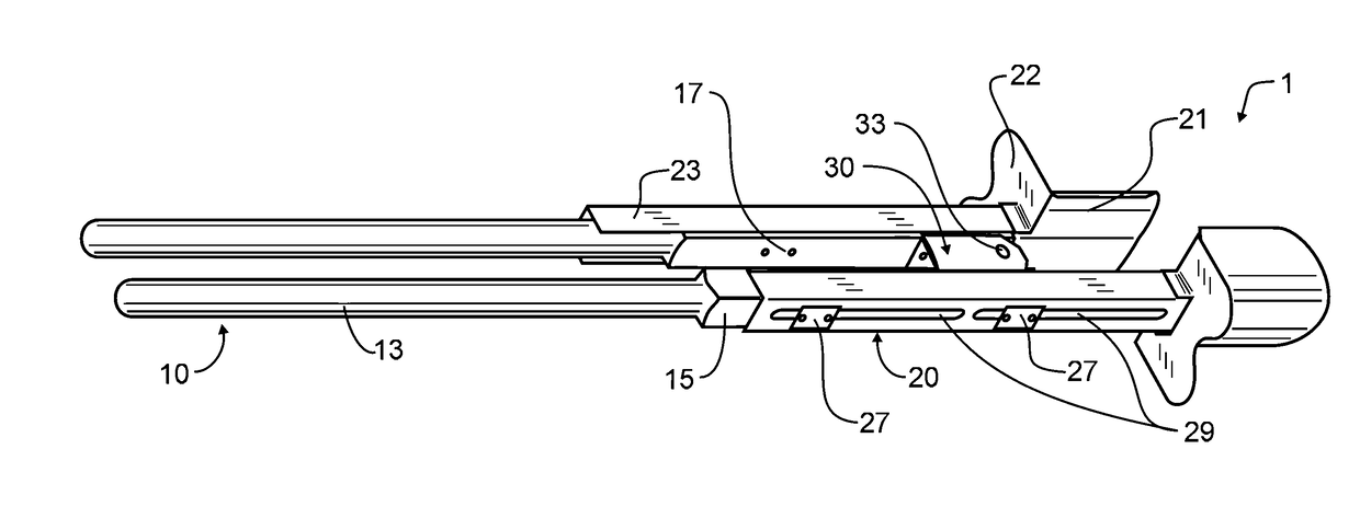 Bulb, plant, and seedling digging tool