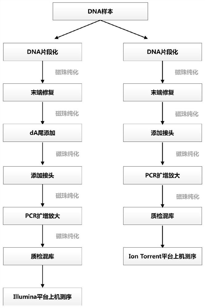 A universal adapter for multiple sequencing platforms, a library construction method and kit suitable for multiple sequencing platforms