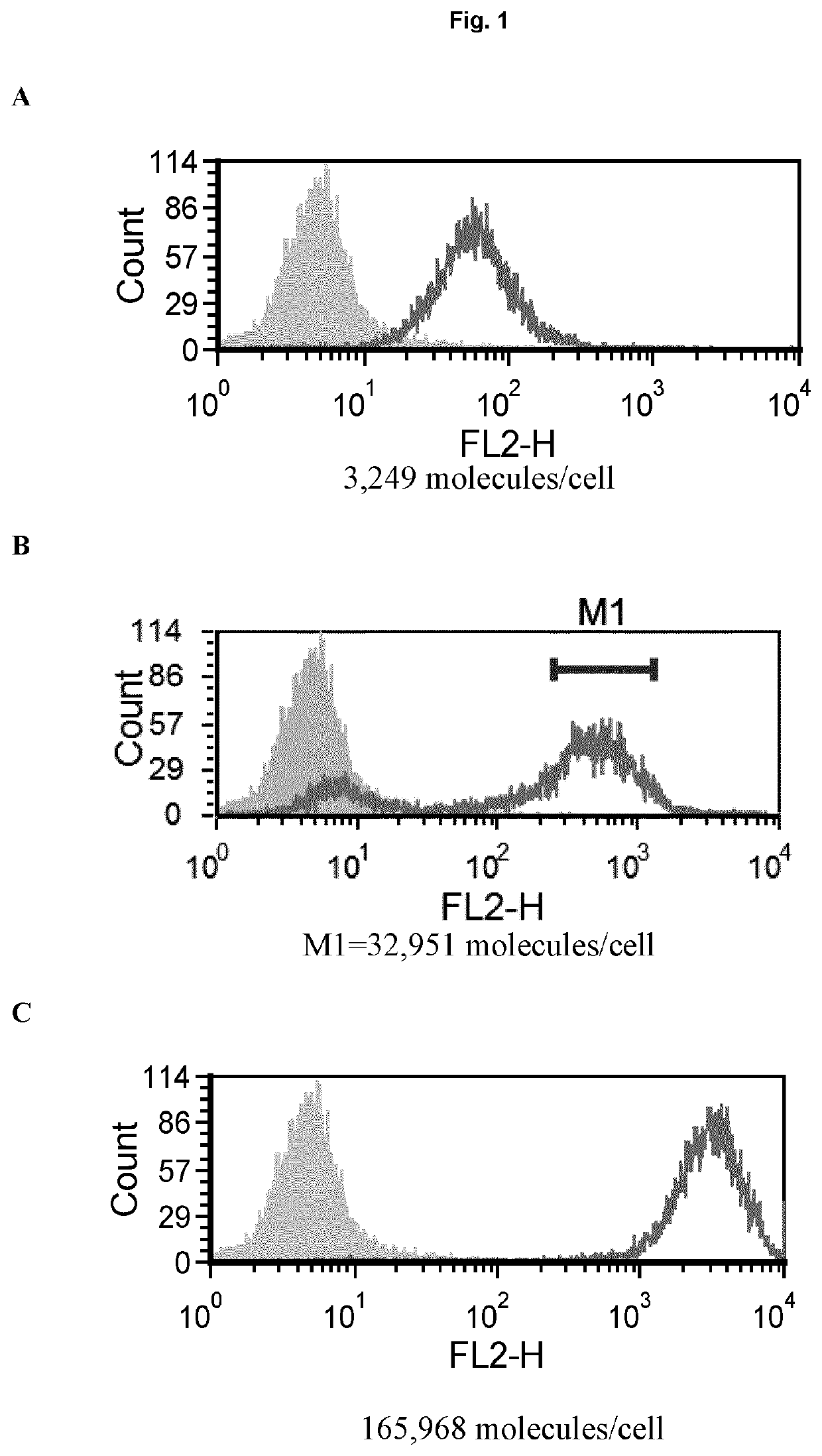 Antibody combinations for treatment of cancer in specific patients