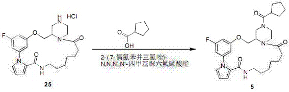 Macrocyclic lactam compound containing rigid biaryl skeleton, and preparation method thereof