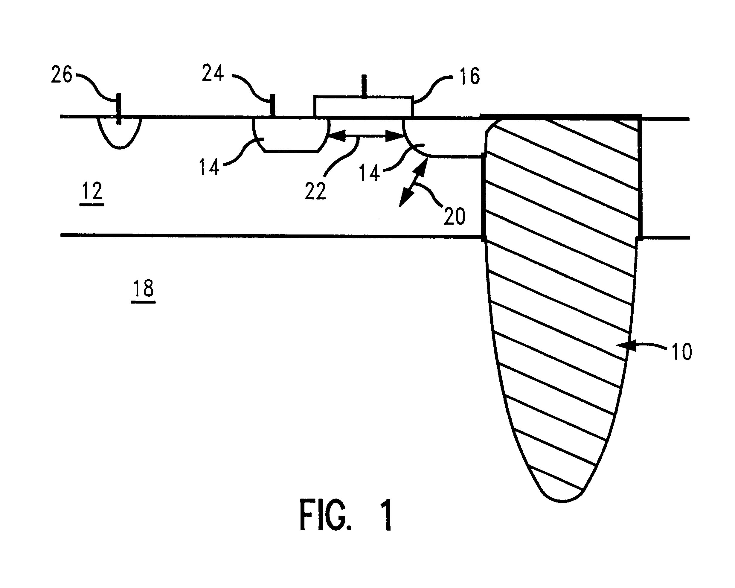 Apparatus and method for performing a defect leakage screen test for memory devices