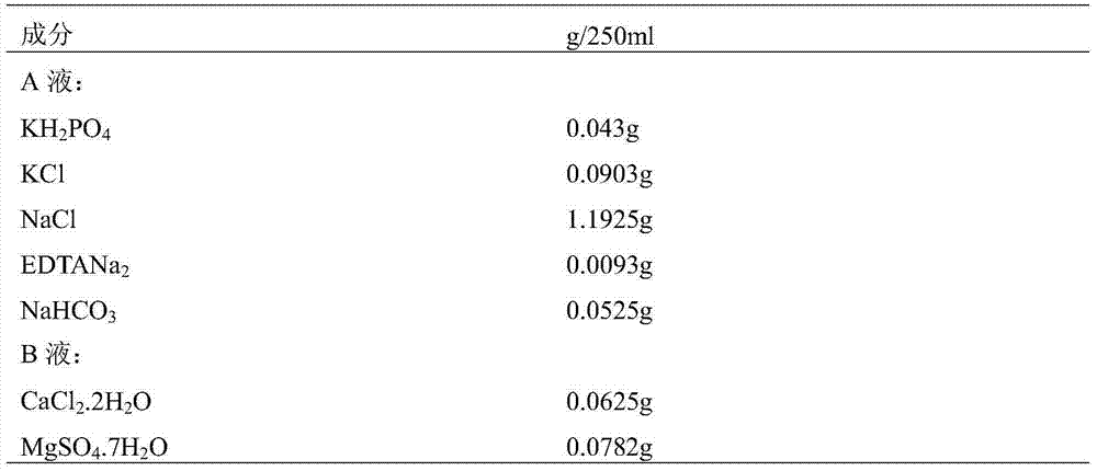 Application of RhoA recombinant protein in preparation of culture solution for improving embryo freezing resistance and recovery rate after thawing