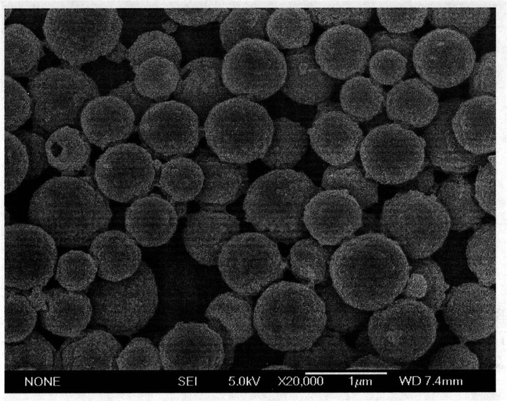 A novel adjuvanted vaccine composition about hpv virus